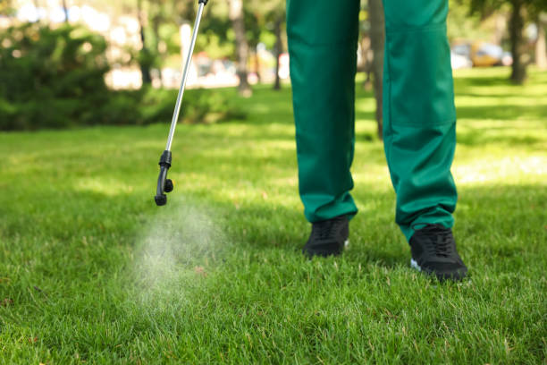 Best Mosquito Control Services  in La Fayette, AL